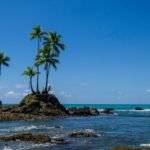 Costa Rica: Cómo visitar el P.N. Corcovado con Surcos Tours