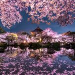 Viajar a Japón: un sueño en 2022