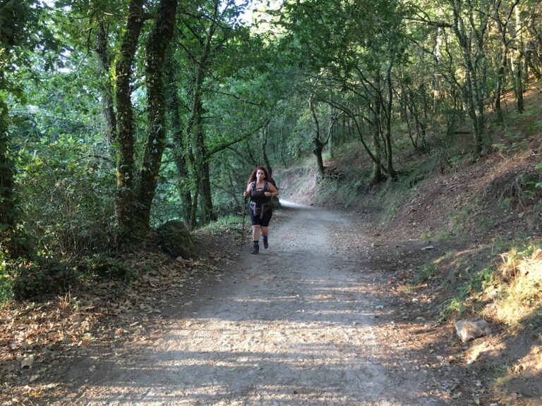 Camino Portugués: Etapa 5: Caldas de Reis – Padrón camino portugues